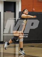 Photo from the gallery "Desert Oasis @ Clark"