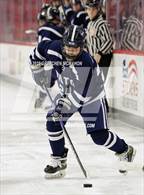 Photo from the gallery "Wilton @ Warde/Ludlowe"