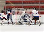 Photo from the gallery "Wilton @ Warde/Ludlowe"