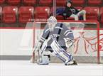 Photo from the gallery "Wilton @ Warde/Ludlowe"
