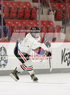 Photo from the gallery "Wilton @ Warde/Ludlowe"