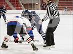 Photo from the gallery "Wilton @ Warde/Ludlowe"