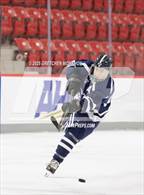 Photo from the gallery "Wilton @ Warde/Ludlowe"