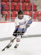 Photo from the gallery "Wilton @ Warde/Ludlowe"