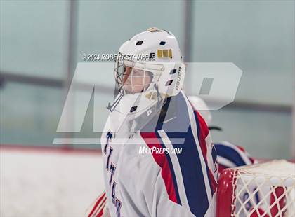 Thumbnail 1 in Beaver @ Shaler Area photogallery.