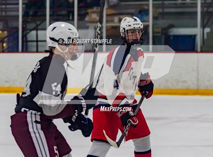 Thumbnail 1 in Beaver @ Shaler Area photogallery.