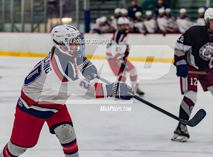 Thumbnail 1 in Beaver @ Shaler Area photogallery.