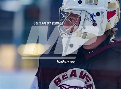 Thumbnail 1 in Beaver @ Shaler Area photogallery.