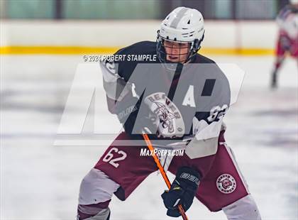 Thumbnail 1 in Beaver @ Shaler Area photogallery.