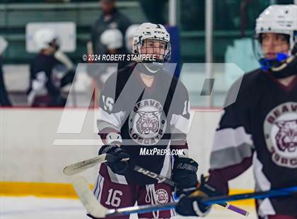 Thumbnail 2 in Beaver @ Shaler Area photogallery.