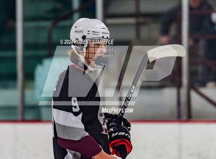 Thumbnail 1 in Beaver @ Shaler Area photogallery.