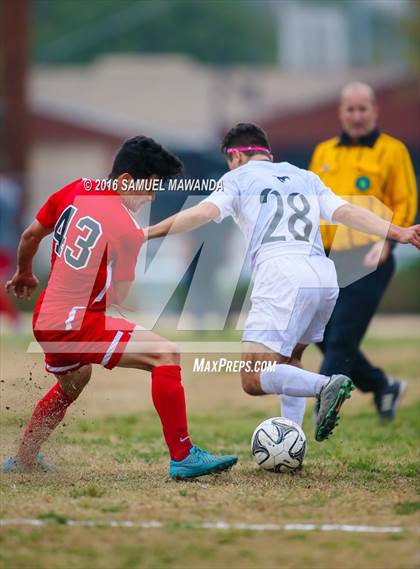 Thumbnail 2 in Cleveland @ Arleta photogallery.
