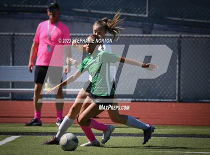 Thumbnail 3 in Washougal @ Tumwater photogallery.