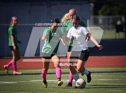 Thumbnail 2 in Washougal @ Tumwater photogallery.