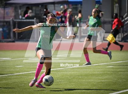 Thumbnail 2 in Washougal @ Tumwater photogallery.