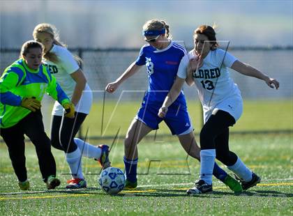 Thumbnail 3 in Eldred vs. Poland (NYSPHSAA Class D Semifinal) photogallery.