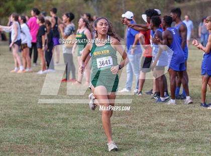 Thumbnail 1 in East Baton Rouge Metro Cross Country Meet photogallery.
