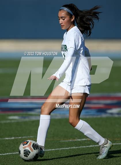 Thumbnail 1 in Schurr @ La Salle photogallery.
