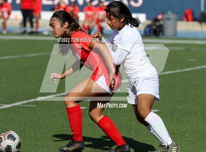 Thumbnail 3 in Schurr @ La Salle photogallery.