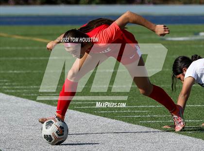 Thumbnail 2 in Schurr @ La Salle photogallery.