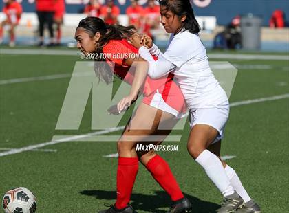 Thumbnail 2 in Schurr @ La Salle photogallery.
