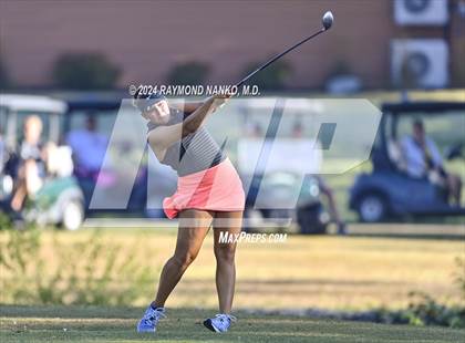 Thumbnail 1 in Muncie Central  (IHSAA Section 12)  photogallery.