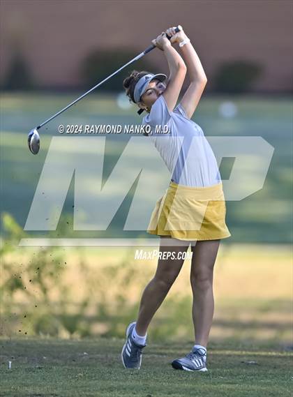 Thumbnail 1 in Muncie Central  (IHSAA Section 12)  photogallery.