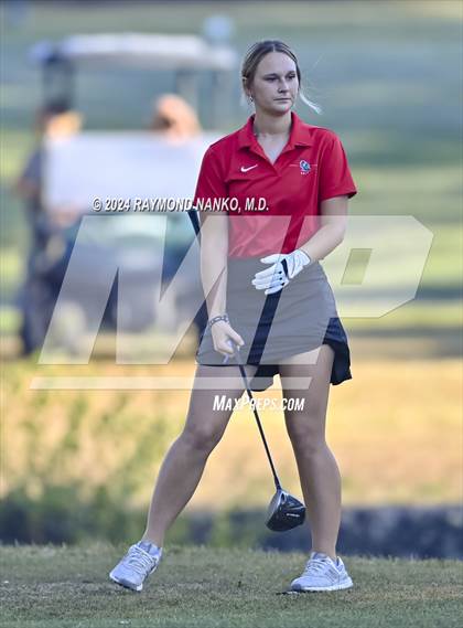 Thumbnail 1 in Muncie Central  (IHSAA Section 12)  photogallery.