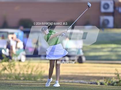 Thumbnail 2 in Muncie Central  (IHSAA Section 12)  photogallery.