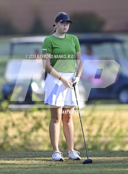 Thumbnail 3 in Muncie Central  (IHSAA Section 12)  photogallery.