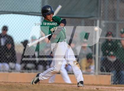 Thumbnail 2 in Chatfield @ Mountain Vista photogallery.