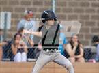 Photo from the gallery "Conifer @ Golden"