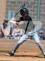 Photo from the gallery "Conifer @ Golden"