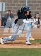 Photo from the gallery "Conifer @ Golden"