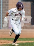 Photo from the gallery "Conifer @ Golden"