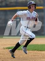 Photo from the gallery "Conifer @ Golden"