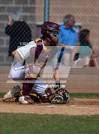 Photo from the gallery "Conifer @ Golden"