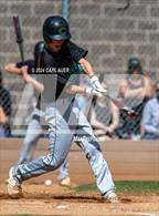 Photo from the gallery "Conifer @ Golden"