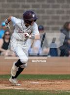 Photo from the gallery "Conifer @ Golden"