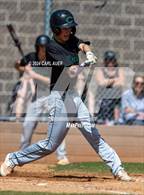 Photo from the gallery "Conifer @ Golden"