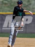Photo from the gallery "Conifer @ Golden"
