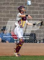 Photo from the gallery "Conifer @ Golden"