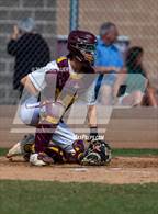 Photo from the gallery "Conifer @ Golden"