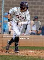 Photo from the gallery "Conifer @ Golden"