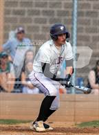 Photo from the gallery "Conifer @ Golden"