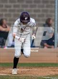 Photo from the gallery "Conifer @ Golden"