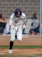 Photo from the gallery "Conifer @ Golden"