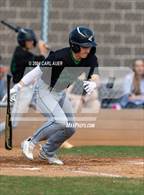 Photo from the gallery "Conifer @ Golden"