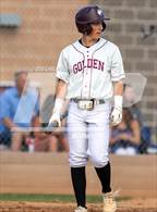 Photo from the gallery "Conifer @ Golden"