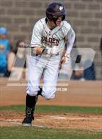 Photo from the gallery "Conifer @ Golden"